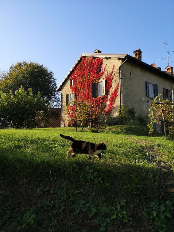 Agriturismo La Costa - Casa Vacanze Rovagnate Exteriör bild